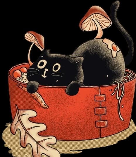 Noboru's resident house cat, curled up in a ramen bowl